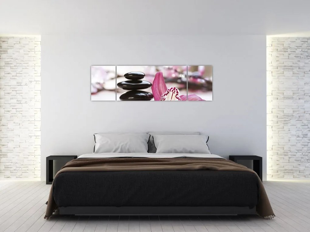 Obraz kamieni do masażu i storczyków (170x50 cm)