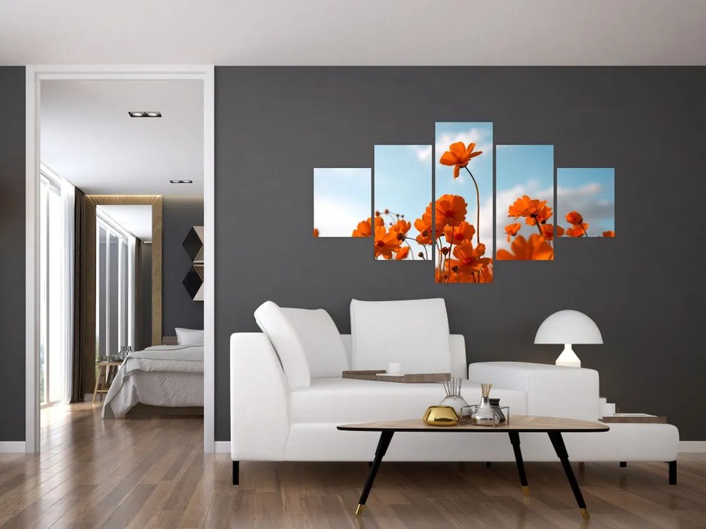 Obraz - Łąkowe kwiaty (125x70 cm)