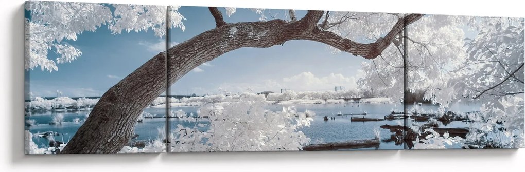 Obraz ośnieżonego drzewa nad wodą (170x50 cm)