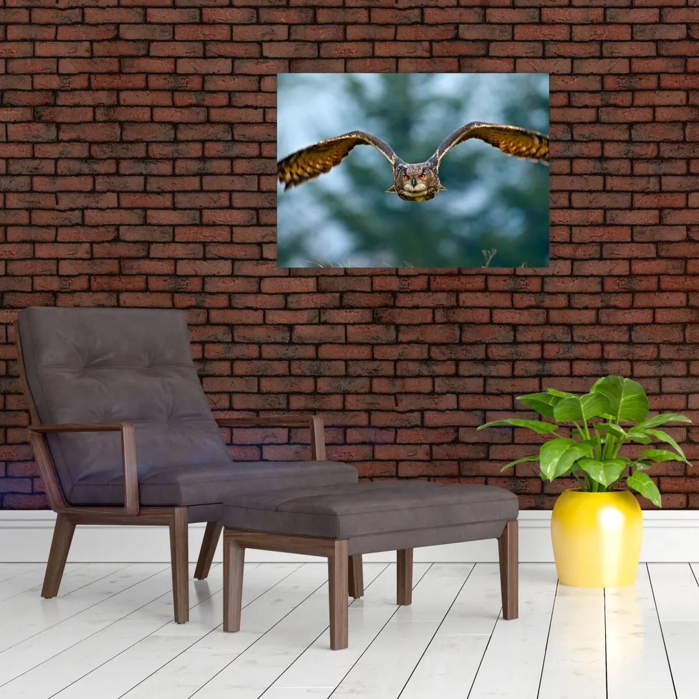 Obraz - Sowa w locie (70x50 cm)
