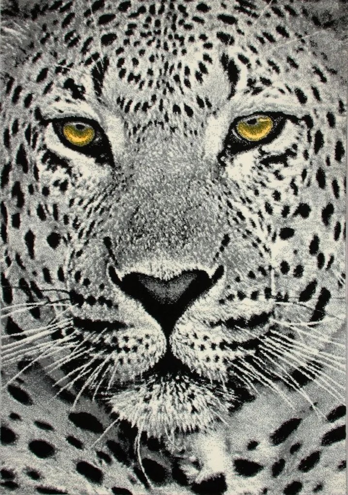 Dywan Koloreo Pantera szary 133x190 Prostokąt