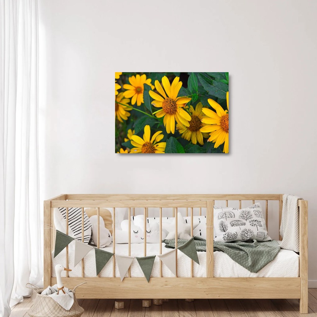 Obraz na szkle - żółte kwiaty (70x50 cm)