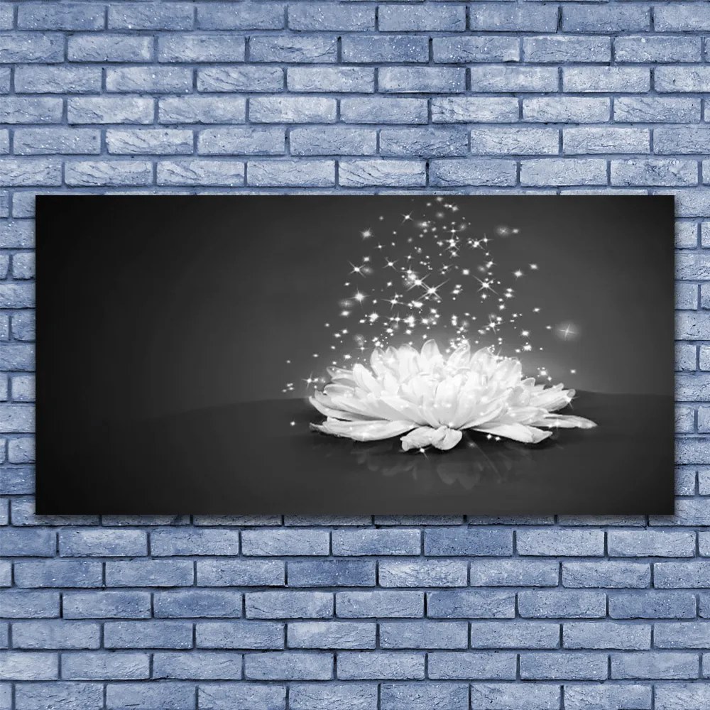 Obraz na płótnie Piękno Polnego Kwiatu