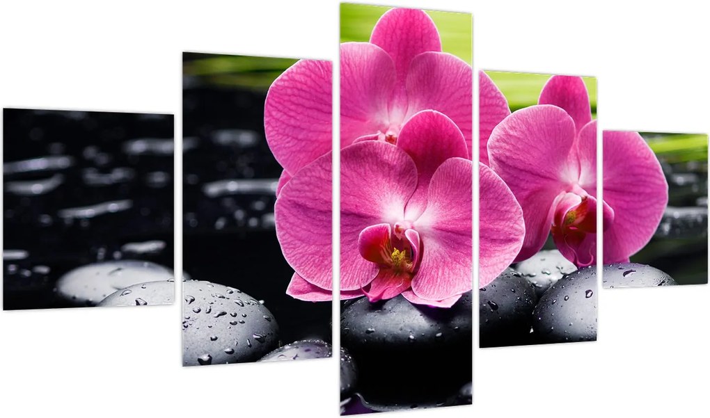 Obraz - Różowe orchidee z liściem palmy (125x70 cm)