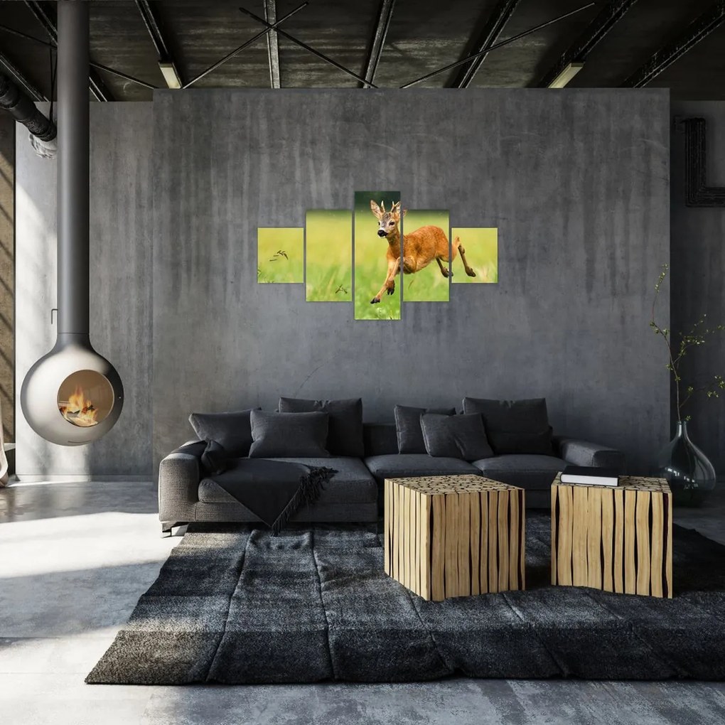 Obraz - Sarna (125x70 cm)
