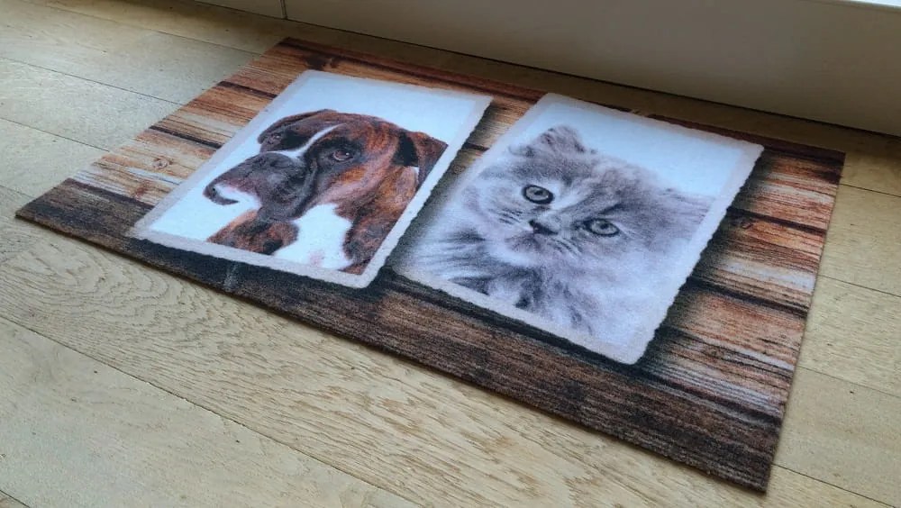 Wycieraczka Deco Star Album 50 cm x 80 cm