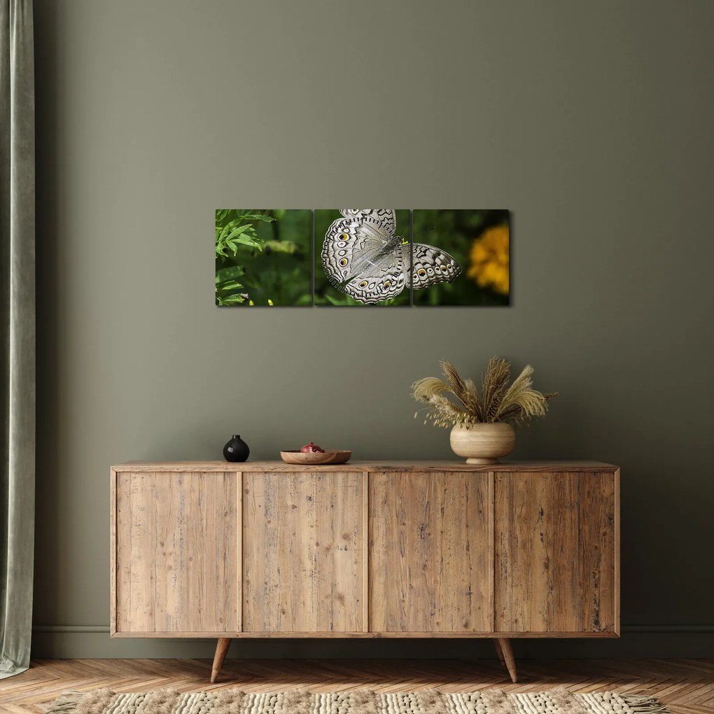 Obraz - biały motyl (z zegarem) (90x30 cm)