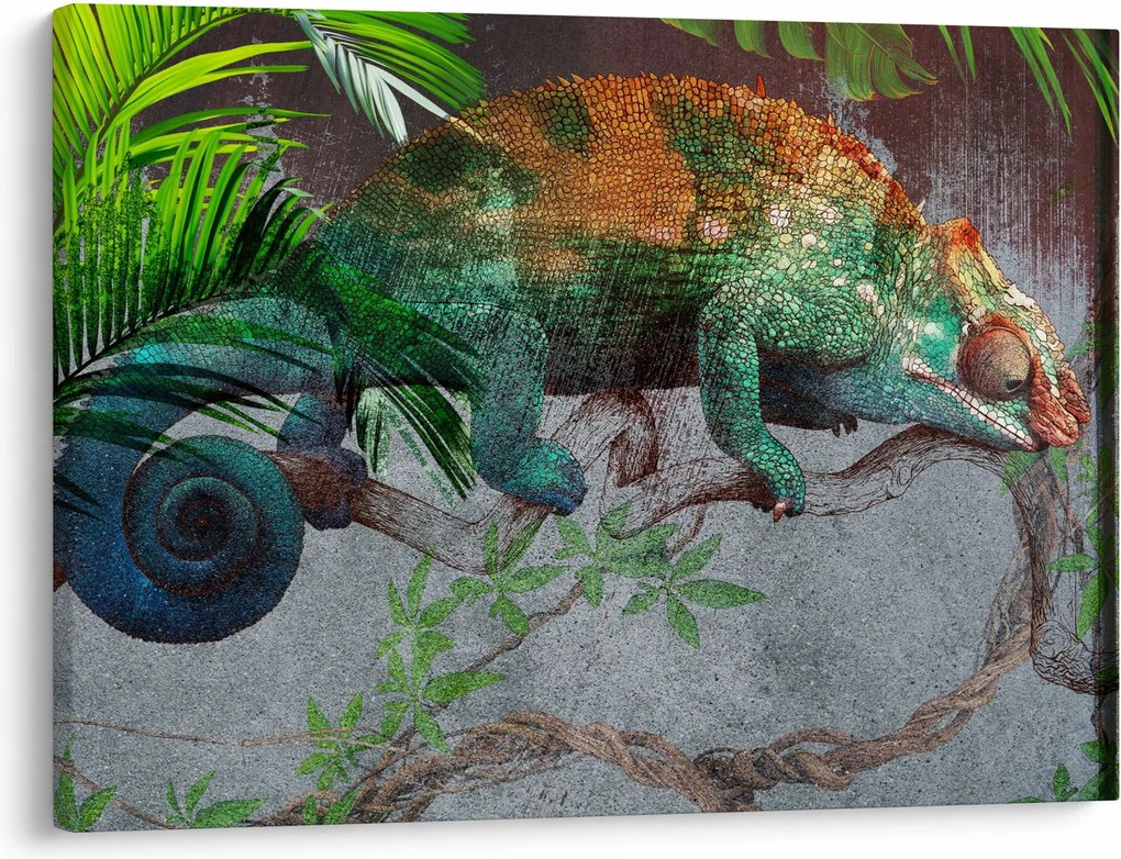 Obraz - Kameleon (70x50 cm)