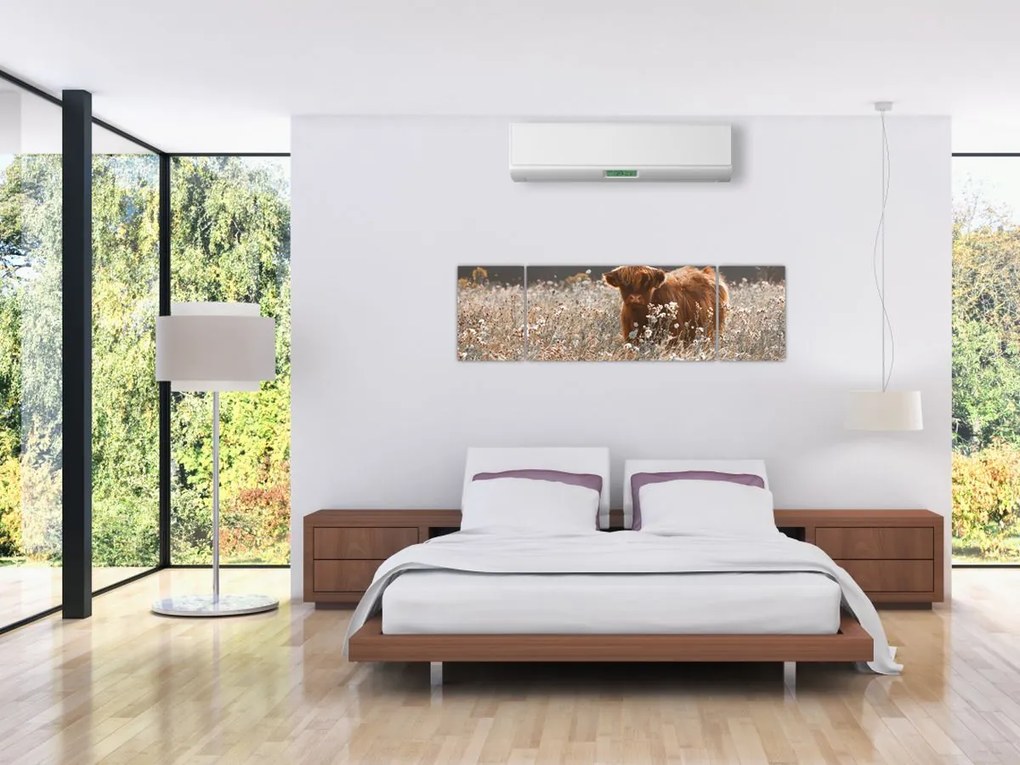 Obraz - Szkocka krowa w kwiatach (170x50 cm)