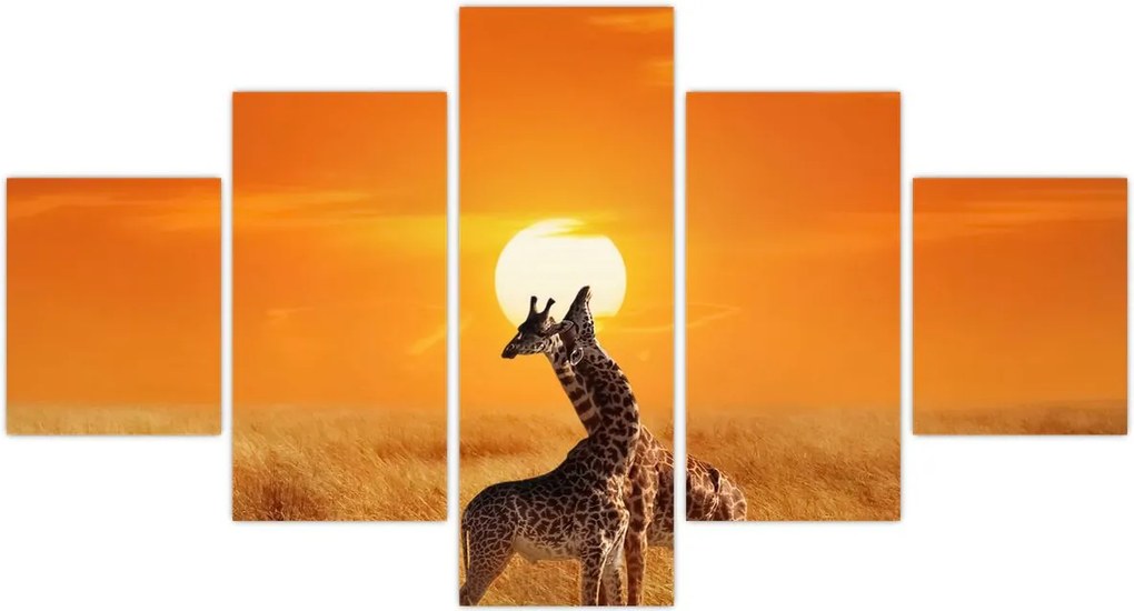 Obraz - Żyrafy w Parku Narodowym Serengeti (125x70 cm)