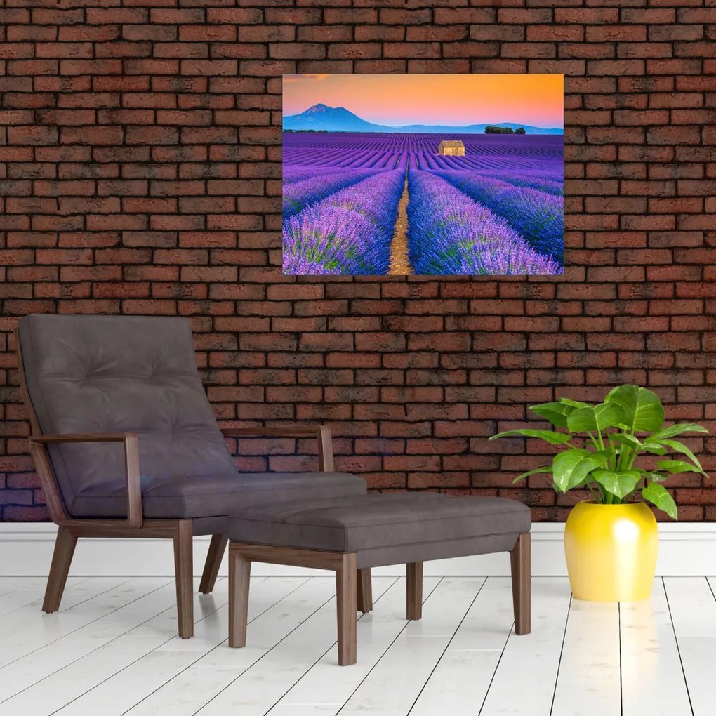 Obraz - Lewndowe pole (70x50 cm)