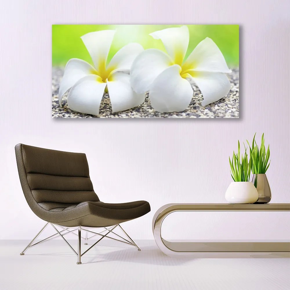 Obraz na płótnie Romantyczna Flora Ogrodowa