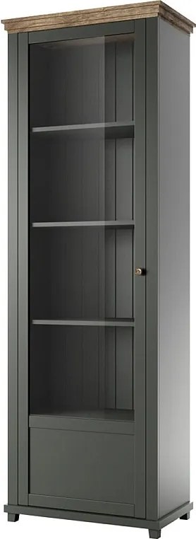 Witryna EVORA 1D zielona mat/dąb lefkas lewa