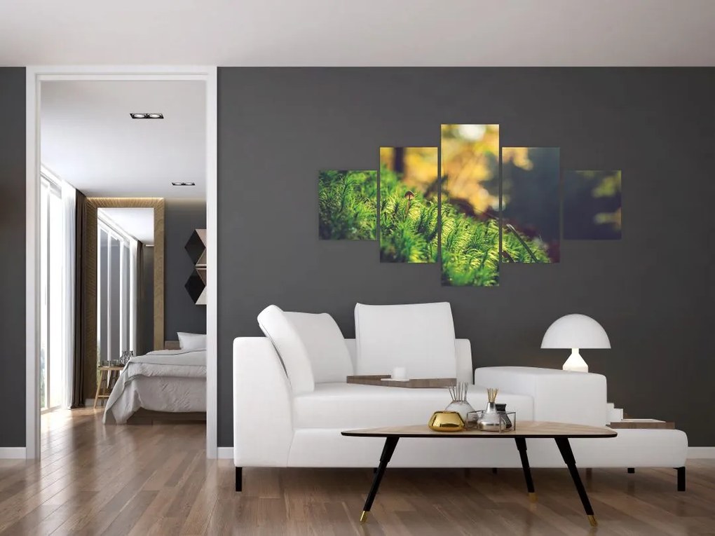 Obraz mchu z grzybem (125x70 cm)