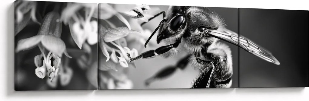 Obraz - Szczegół pszczoły (170x50 cm)