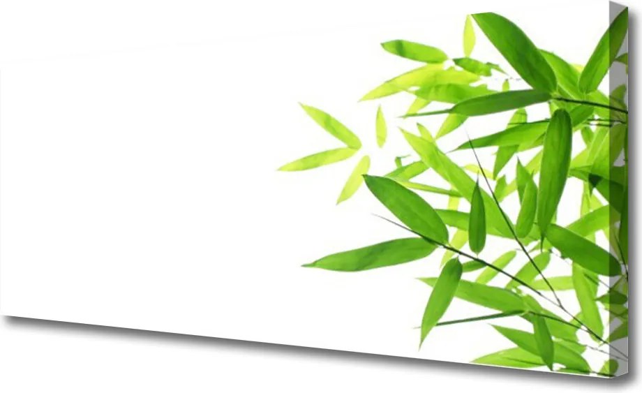 Obraz canvas na ścianę Tekstura Zielonego Liścia