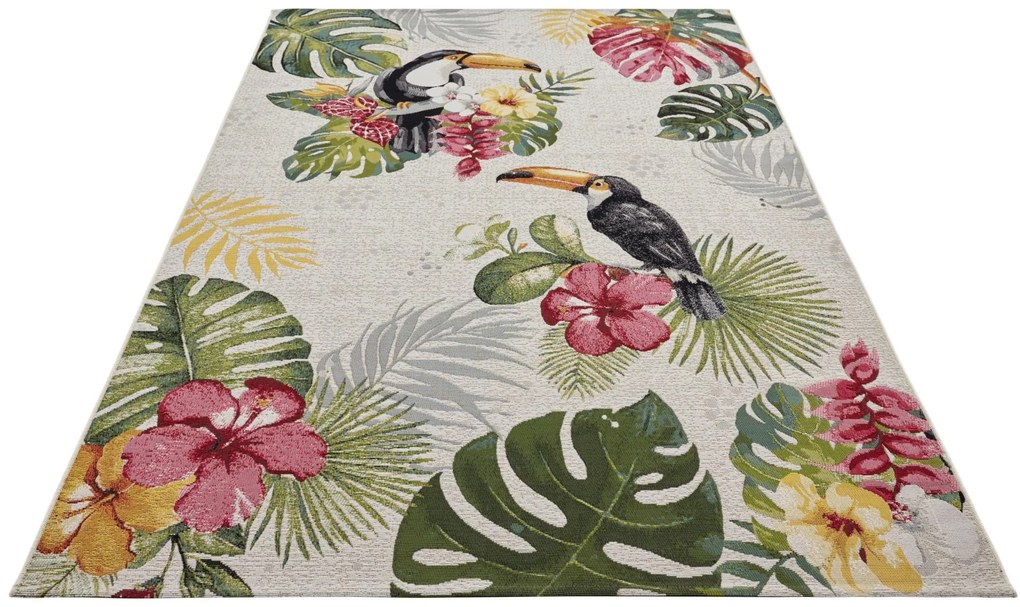 Dywan zewnętrzny Flair Tropical kremowy 120 cm x 180 cm