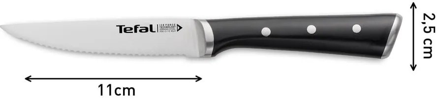 Zestaw noży ze stali nierdzewnej do steków 4 szt. Ice Force – Tefal