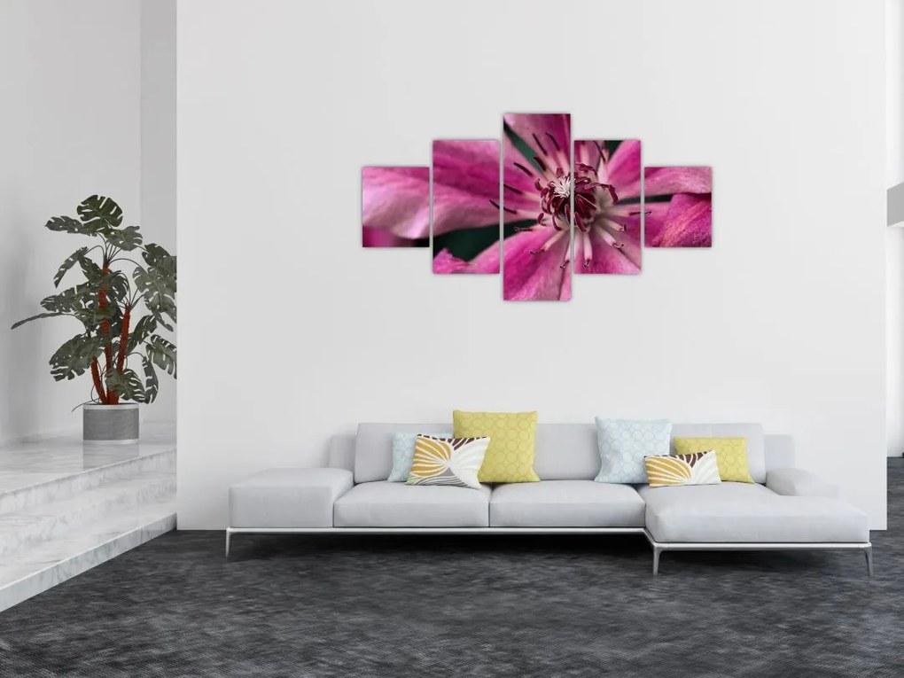 Obraz różowego kwiatu powojnika (125x70 cm)