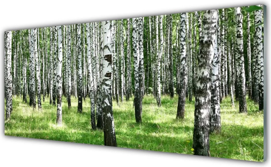 Panel Szklany Leśna Gęstwina I Trawy