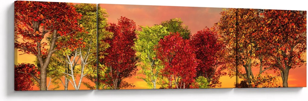 Obraz - Kolorowe drzewa (170x50 cm)