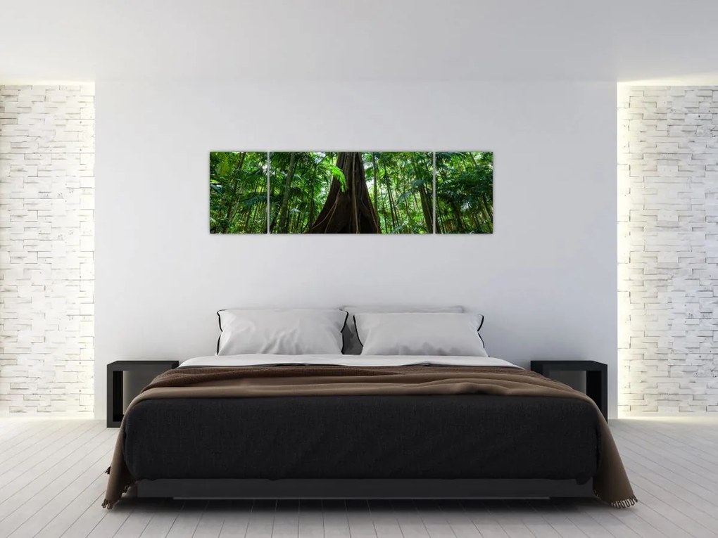 Obraz - Korzenie drzewa (170x50 cm)
