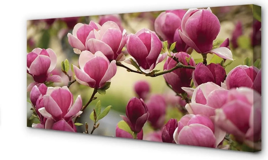 Zdjęcie na płótnie Kwitnące Drzewa