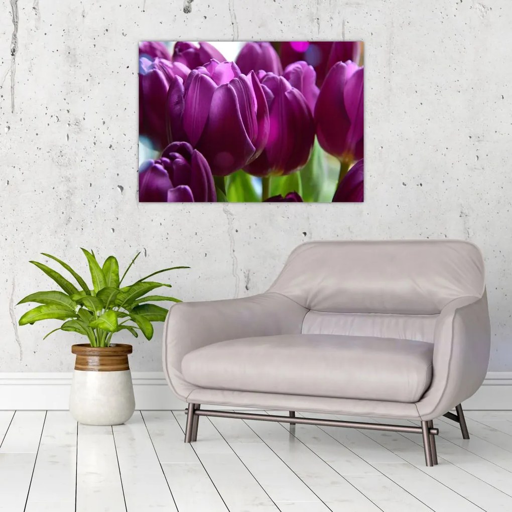 Obraz tulipanów (70x50 cm)