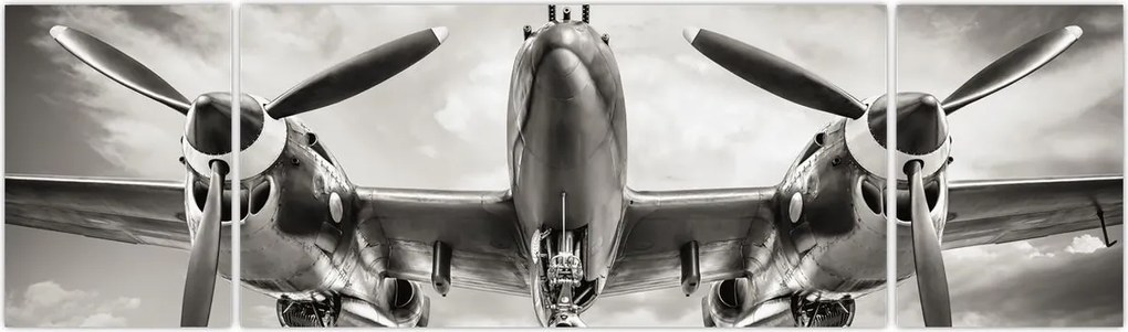 Obraz - Warbird (170x50 cm)