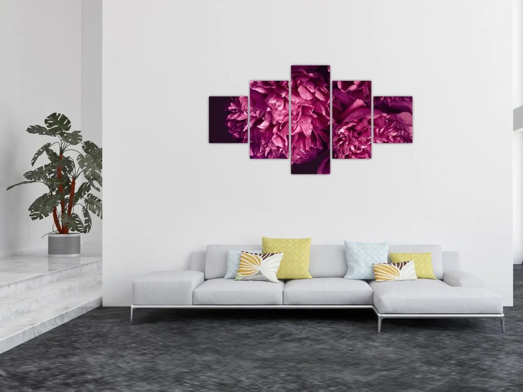 Obraz - Kwiaty piwonii (125x70 cm)