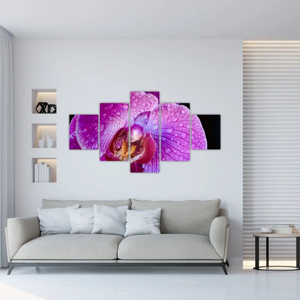 Zbliżenie kwiatu orchidei (125x70 cm)