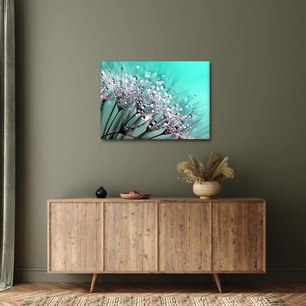 Obraz - zroszona roślina (70x50 cm)