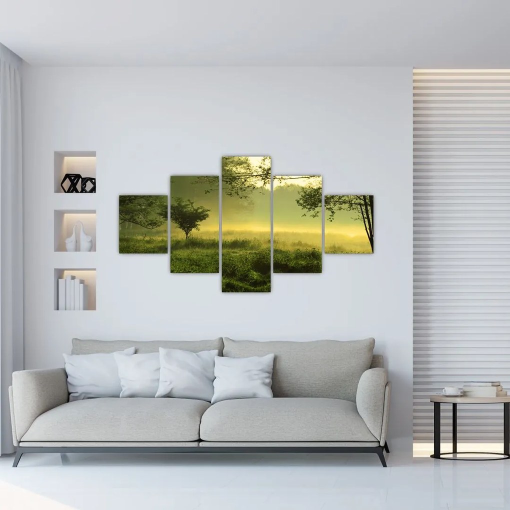 Obraz - Budzący się las (125x70 cm)