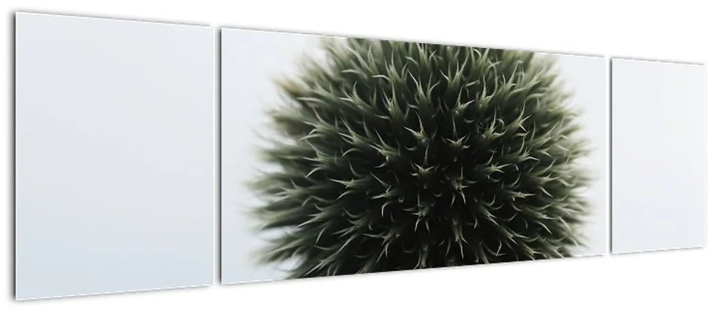 Obraz kuli kwiatowej (170x50 cm)