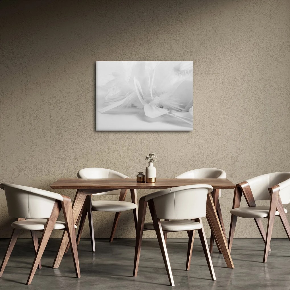 Obraz - Pióra (70x50 cm)