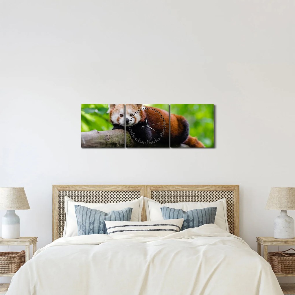 Obraz pandy czerwonej (z zegarem) (90x30 cm)