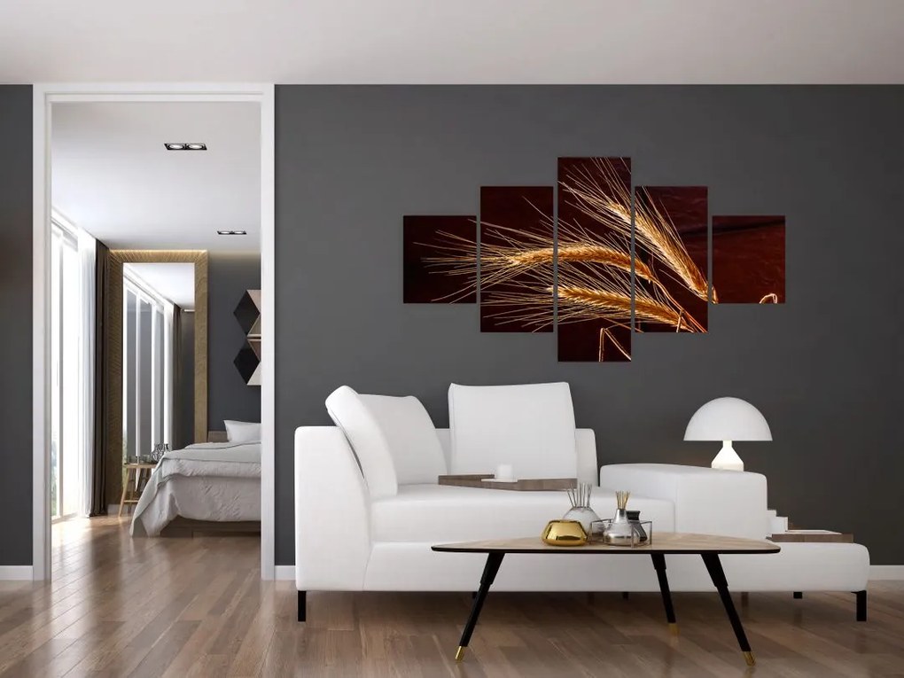 Obraz - Fragment kłosa żyta (125x70 cm)
