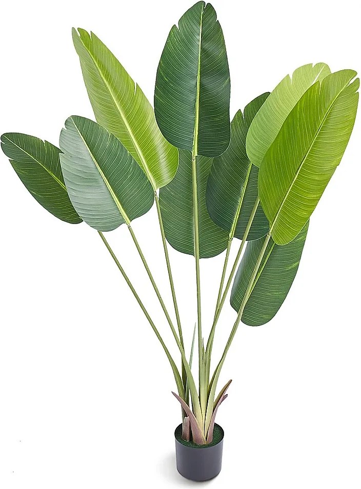 1,5M Sztuczne Drzewo Rajskie SucceBuy, Sztuczna Zielona Roślina