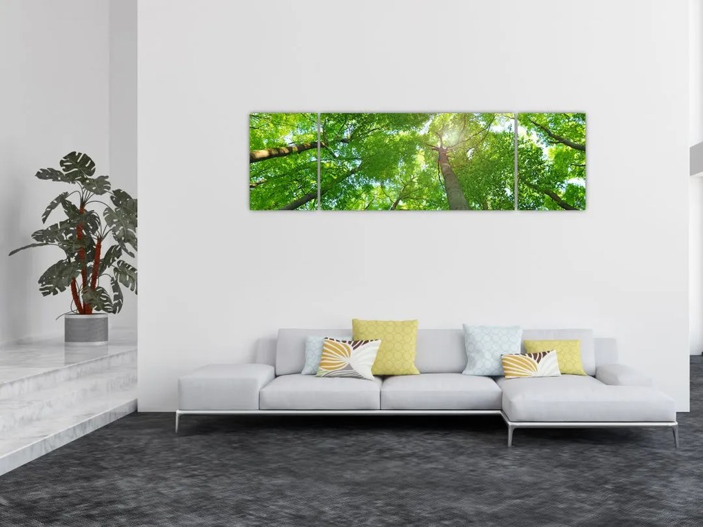 Obraz - Las (170x50 cm)