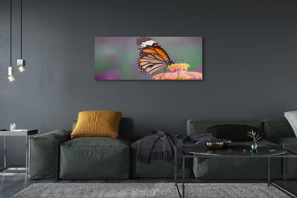 Duży obraz na płótnie Motyl na Kwiecie