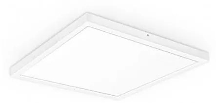 LED Panel natynkowy XELENT LED/50W/230V 4000K IP40