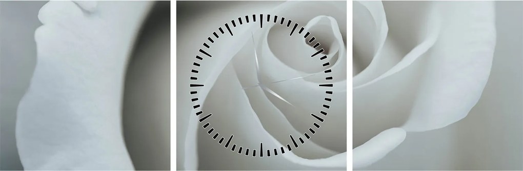 Obraz - Biała róża (z zegarem) (90x30 cm)