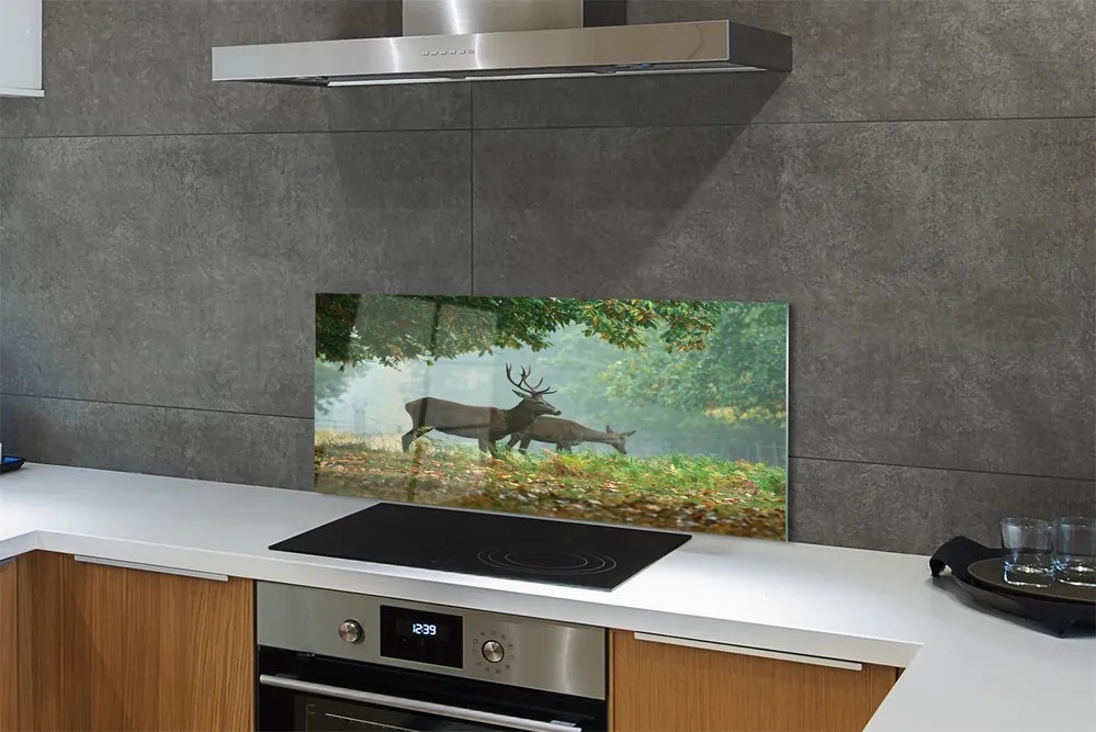 Panel nad Blat Kuchenny Jeleń w Jesiennej Aurze