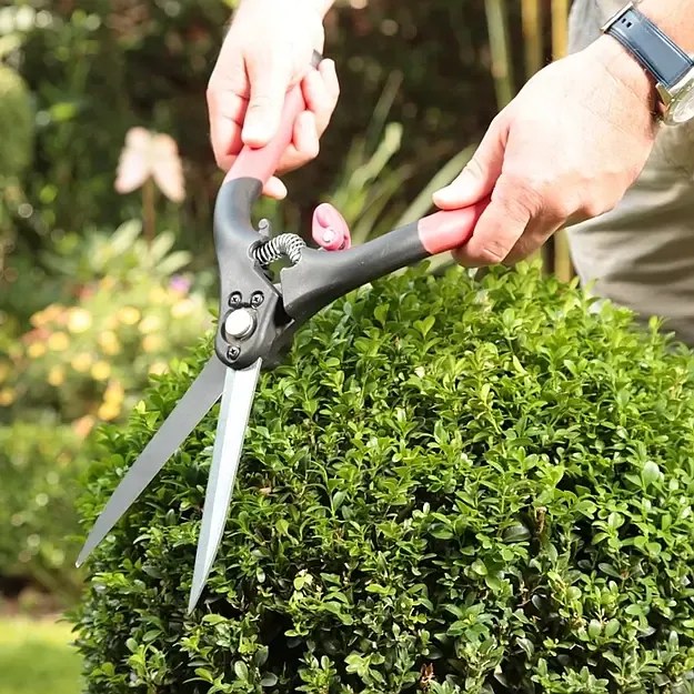 Dwuręczne nożyce do bukszpanu Schnittzeiten