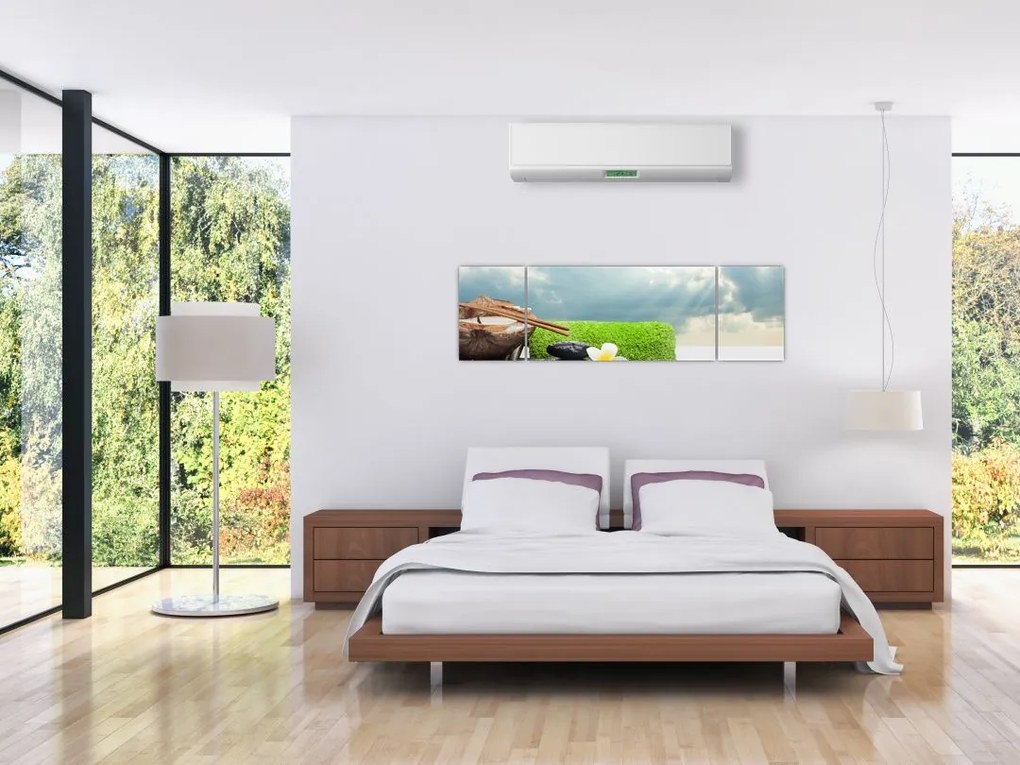 Obraz - Spa and relakx (170x50 cm)