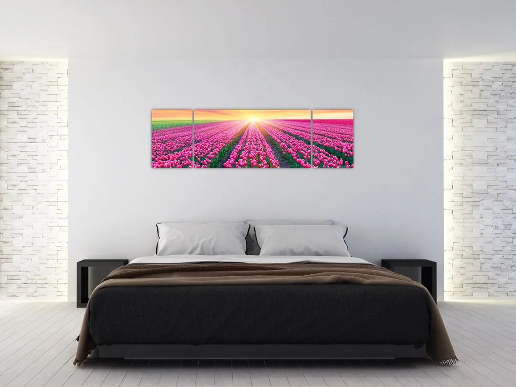 Obraz pole tulipanów ze słońcem (170x50 cm)