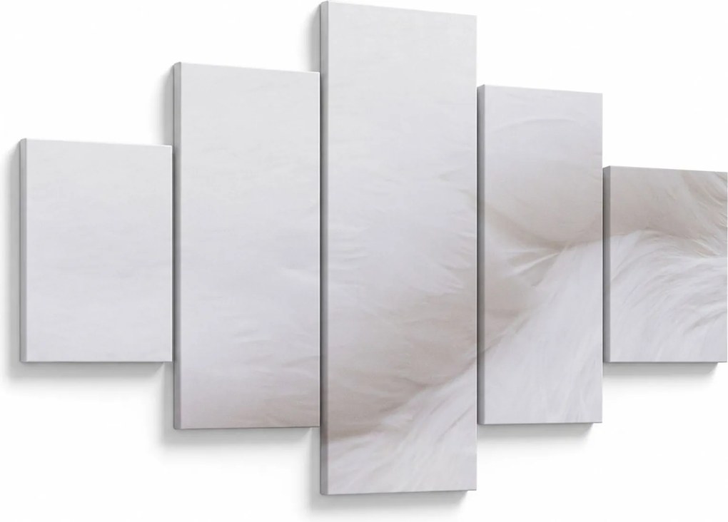 Obraz - Białe pióro (125x70 cm)