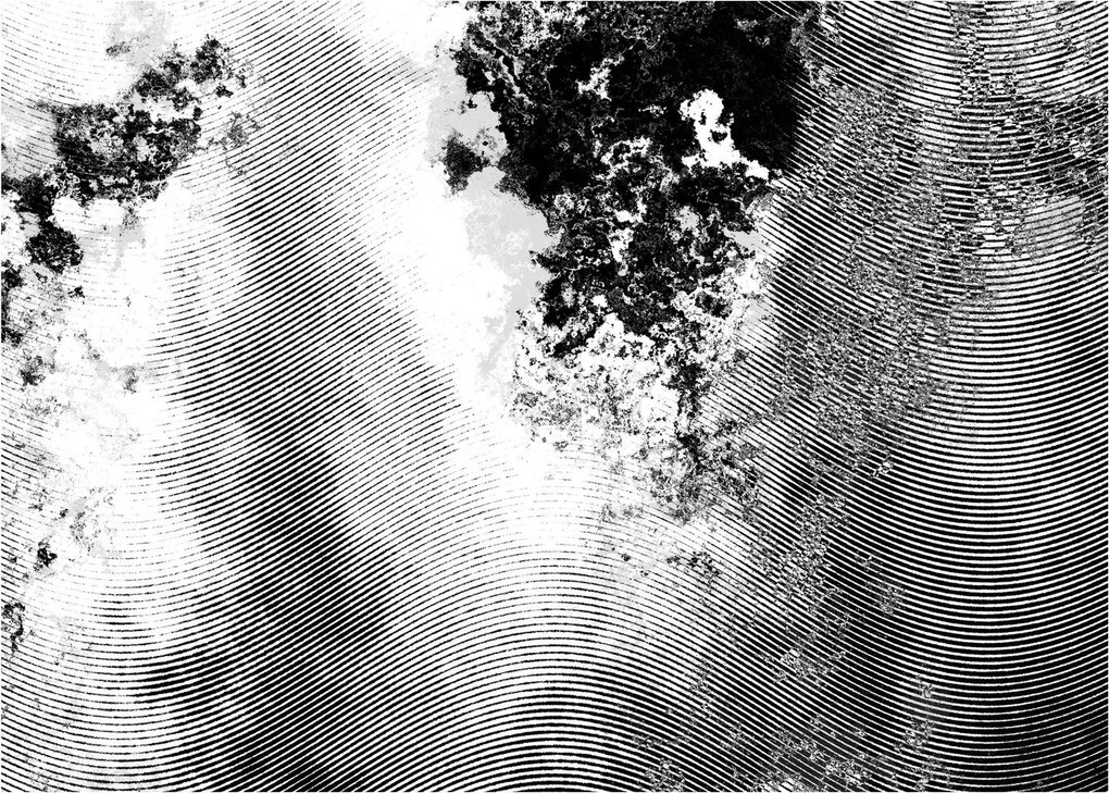 Obraz - Wylęg (70x50 cm)