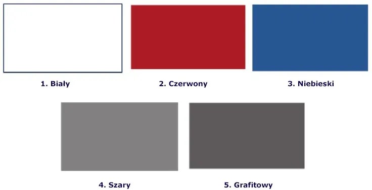 Biało-grafitowa komoda dziecięca z szufladami Erwa 5X - 5 kolorów