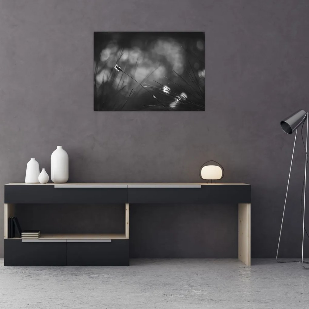 Obraz - Trawa łąkowa (70x50 cm)